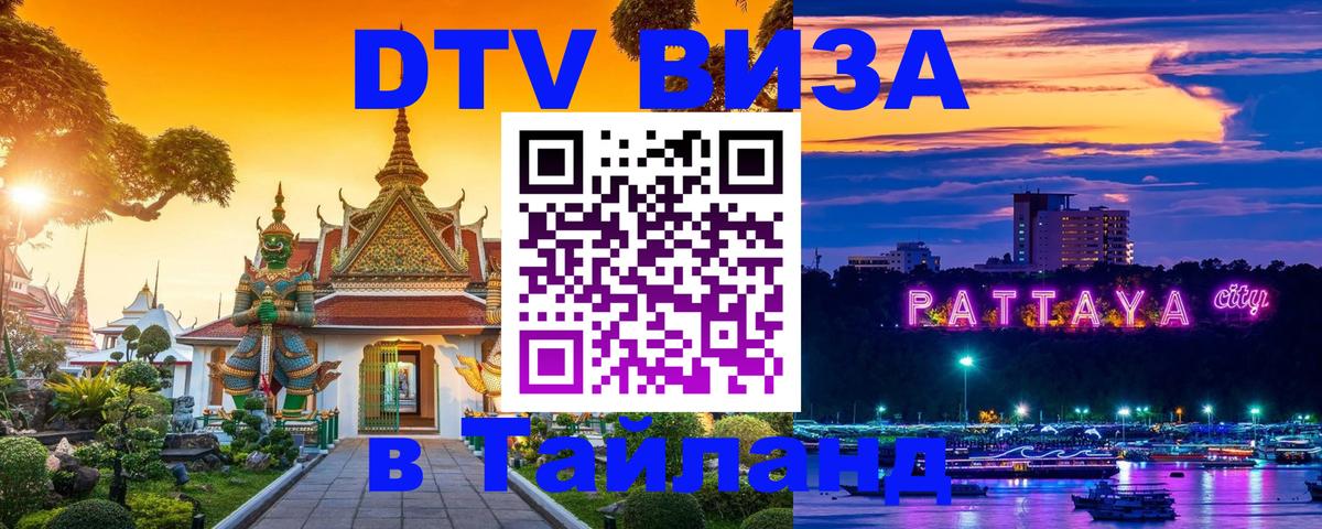 Оформление DTV визы под ключ: стоимость и тарифы, только загранпаспорт - 19.11.2025 